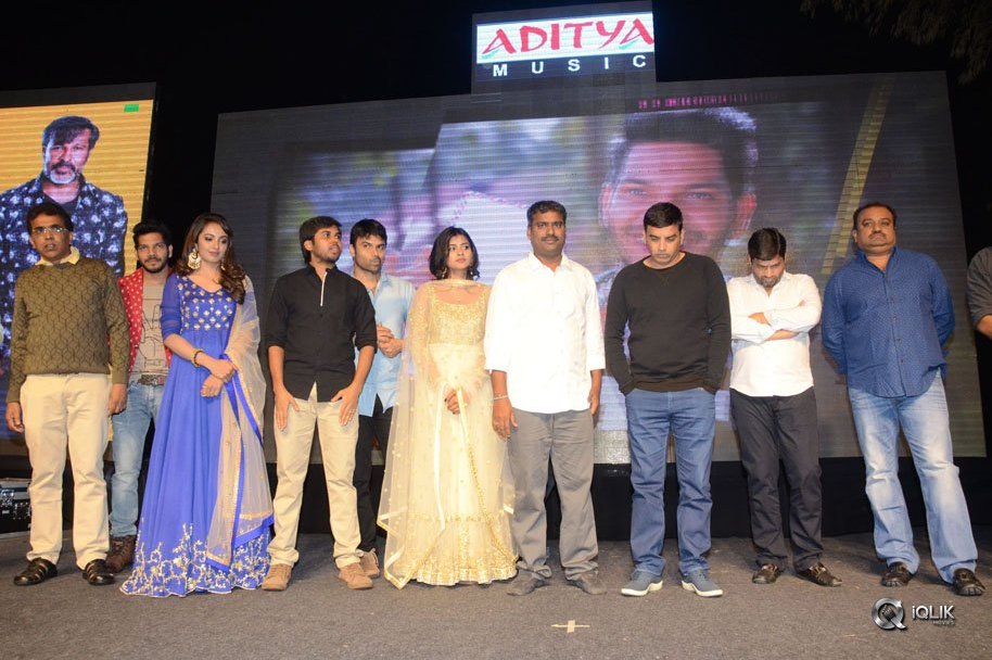 Nanna-Nenu-Naa-Boyfriends-Movie-Audio-Launch
